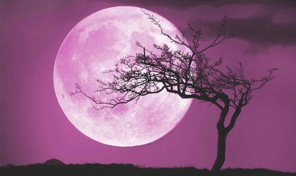 Full Moon in Pisces