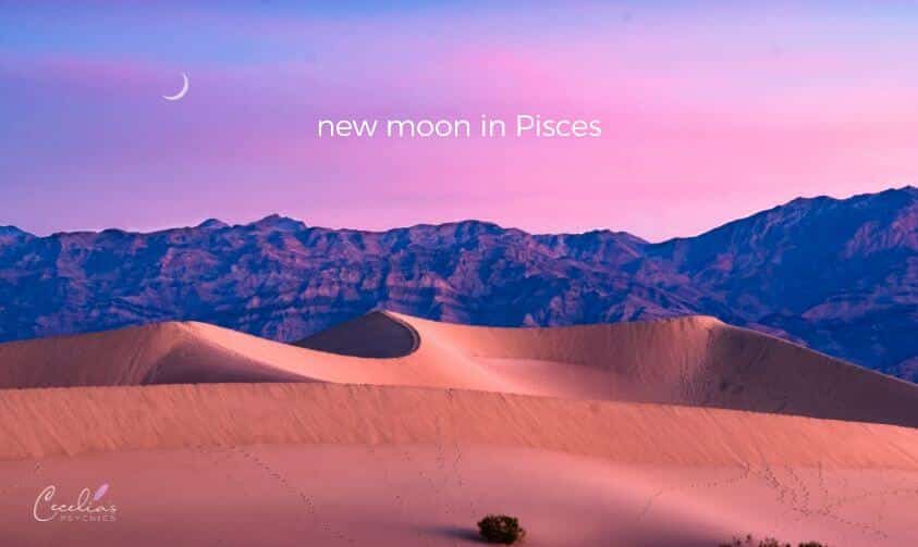 Pisces New Moon - Cecelia Pty Ltd