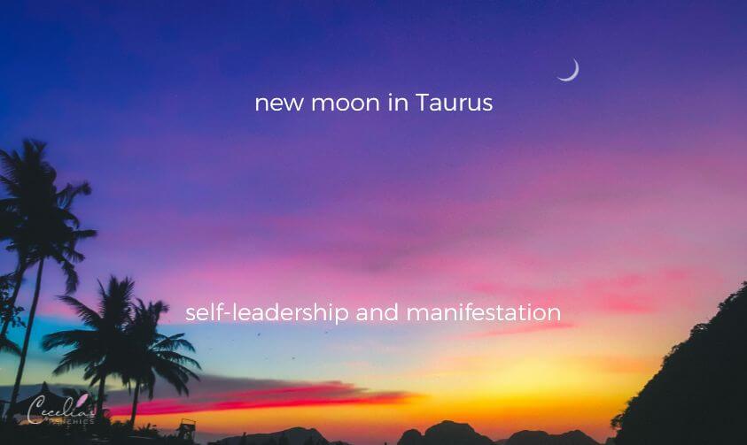 Taurus New Moon - Cecelia Pty Ltd